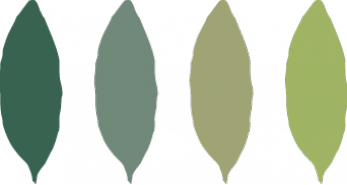 GhoyHuys 
